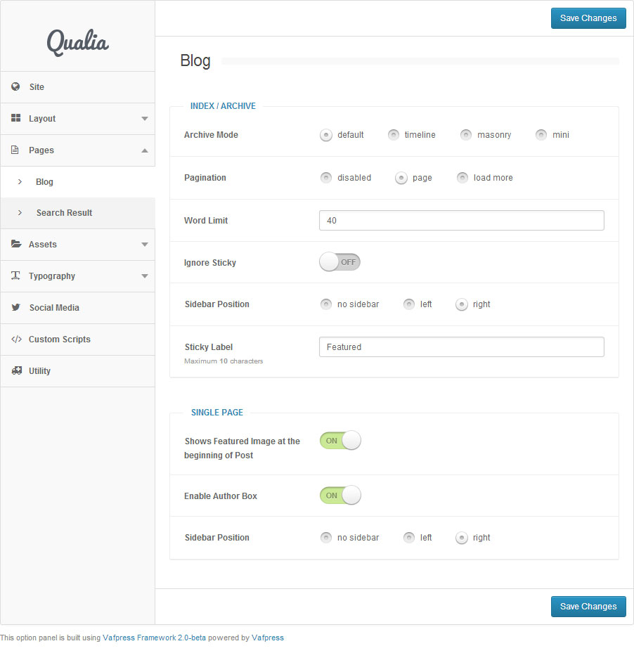 features-theme-options